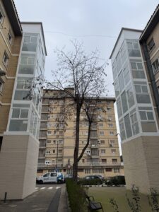 IMG_5852 - copia